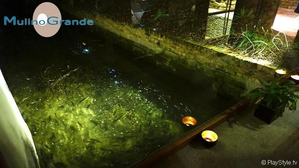 Hotel Mulino Grande Cusago ภายนอก รูปภาพ